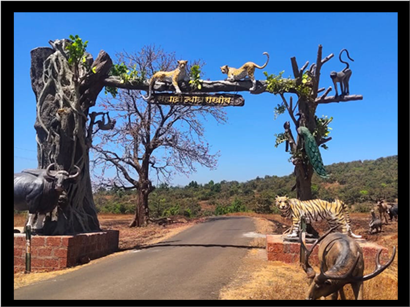 chandoli-national-park-main-new-gate