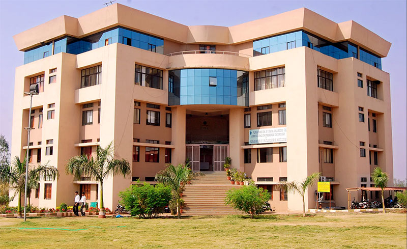 d.y.Patil Agriculture College